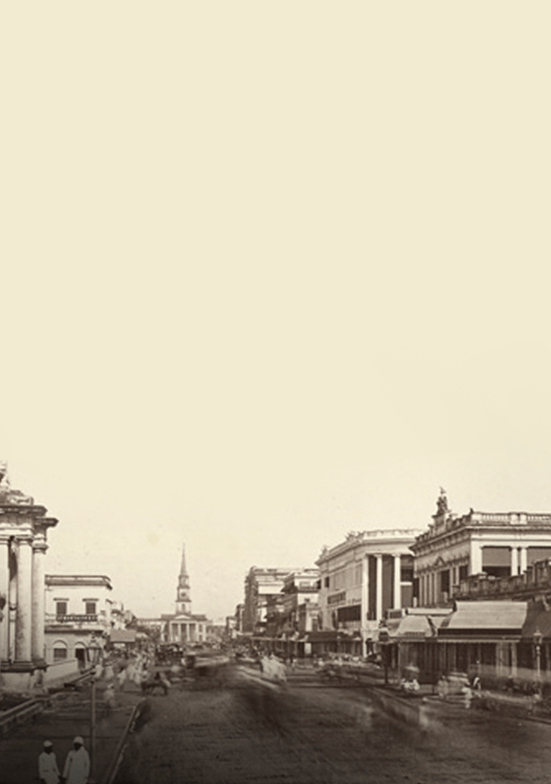 Pioneering Green Energy: How TRDP Ventures is Powering a Sustainable Future 2