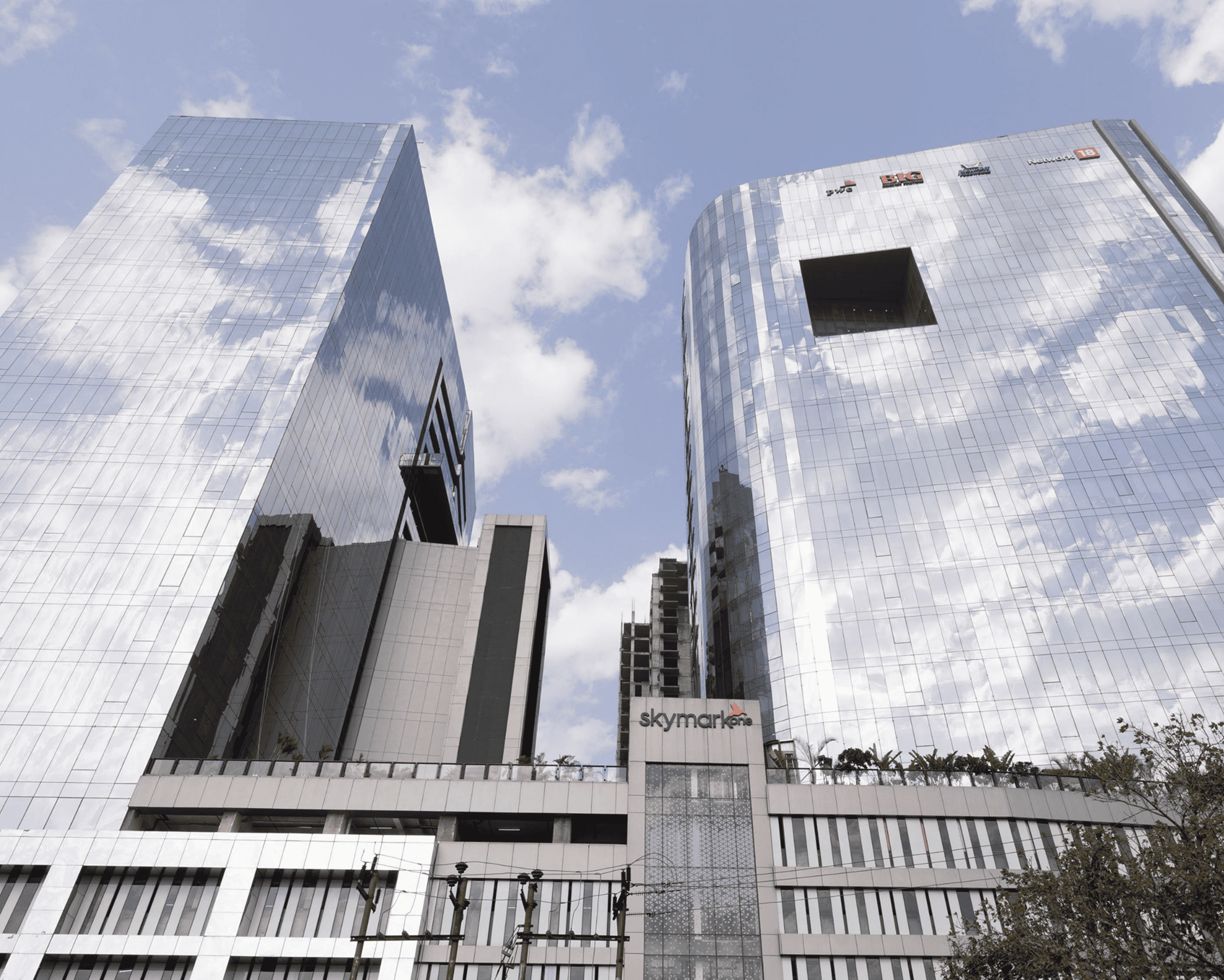 Green leaves representing sustainability